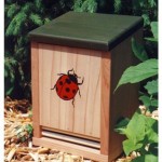 Ladybug_house